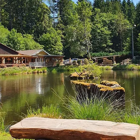 Дом отдыха L'etang De - Vosges Belval (Vosges)